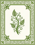 Elegant Green Leaf Scroll Border Rug