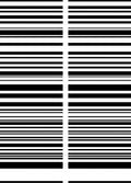 Classic Black White Striped Rug