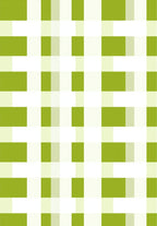 Green and White Gingham Blocks Rug
