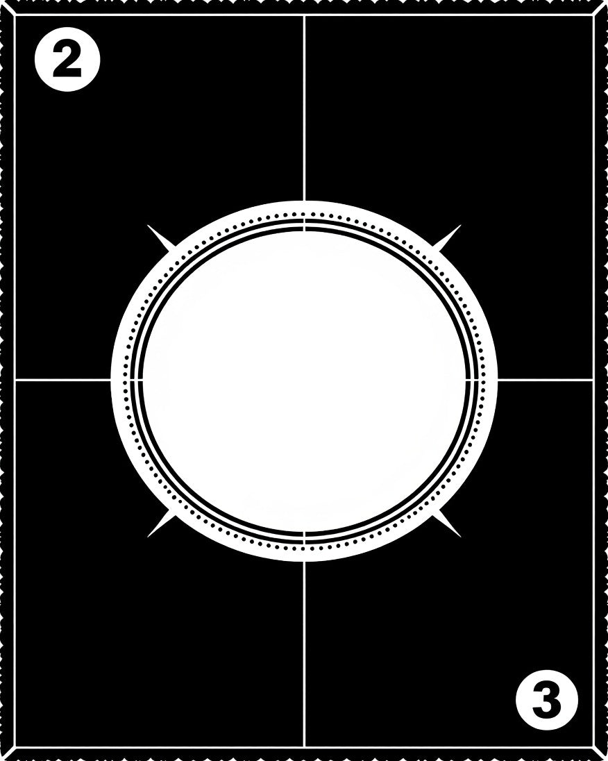 Black and White Compass Starburst Rug