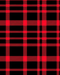 Bold Red Black Plaid Weave Rug