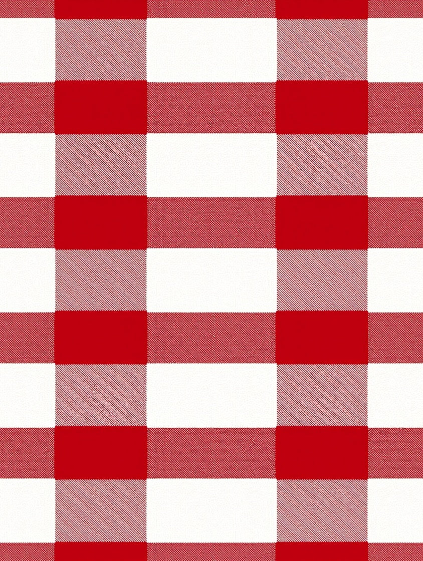 Bold Red White Buffalo Plaid Rug