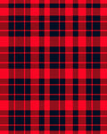 Rustic Red and Blue Plaid Squares Rug