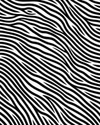 Bold Black White Wavy Strokes Rug
