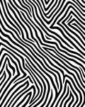 Bold Black White Animal Stripes Rug