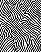 Bold Black White Animal Stripes Rug