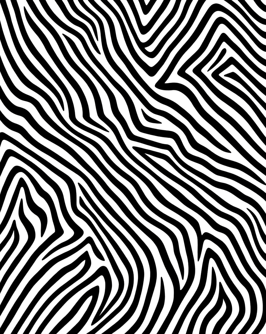 Bold Black White Animal Stripes Rug
