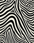 Bold Black Cream Zebra Waves Rug