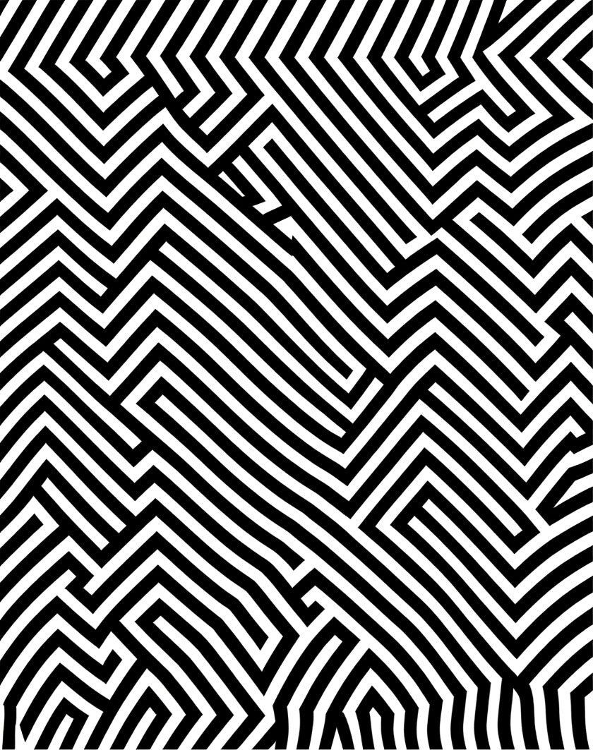 Monochromatic Black White Maze Lines Rug