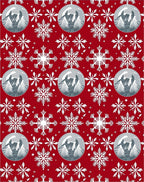Red Snow Globe Snowflake Winter Scene Rug