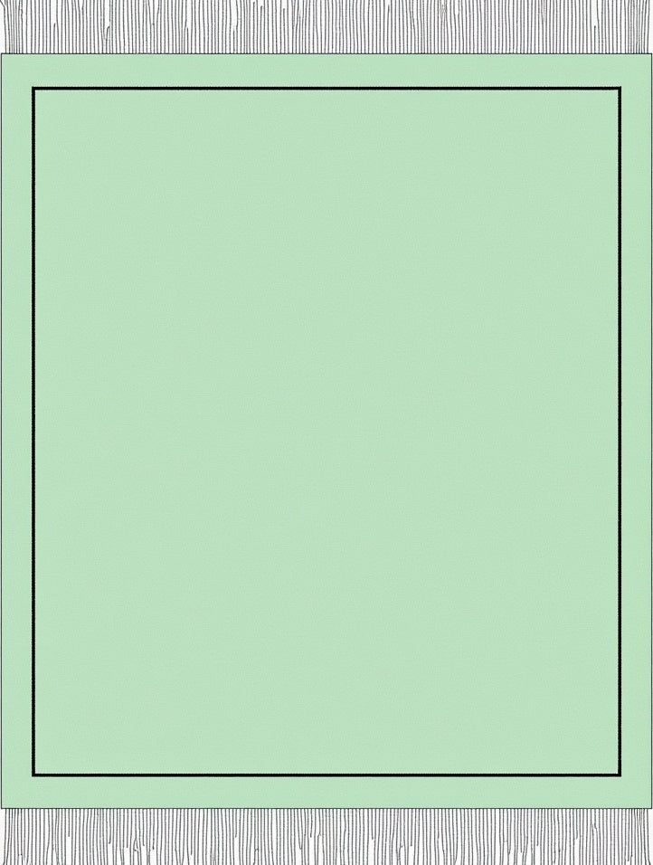 Pale Green Bordered Flat Weave Accent Rug