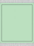 Pale Green Bordered Flat Weave Accent Rug