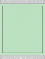 Pale Green Bordered Flat Weave Accent Rug