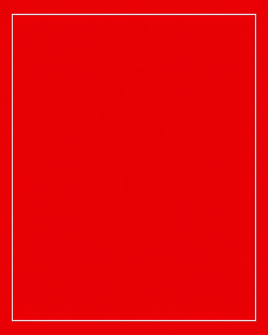 Vibrant Crimson Bordered Square Rug