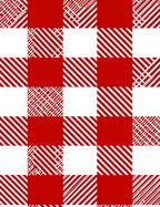Bold Red White Gingham Lines Rug