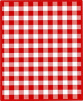 Classic Red White Gingham Squares Rug