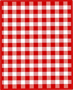 Classic Red White Gingham Squares Rug