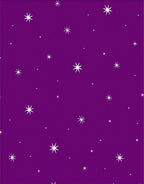 Purple Starry Night Scatter Rug