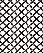 Monochromatic Black White Geometric Lattice Rug