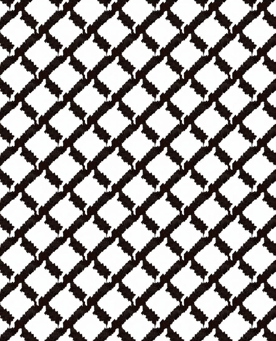 Monochromatic Black White Geometric Lattice Rug