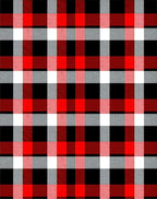 Bold Red Black White Plaid Check Rug
