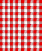 Classic Red White Gingham Check Rug