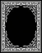 Elegant Black White Floral Border Frame Rug