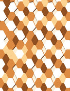 Terra Cotta Honeycomb Geometric Rug