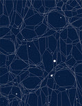 Navy Celestial Network Constellation Rug