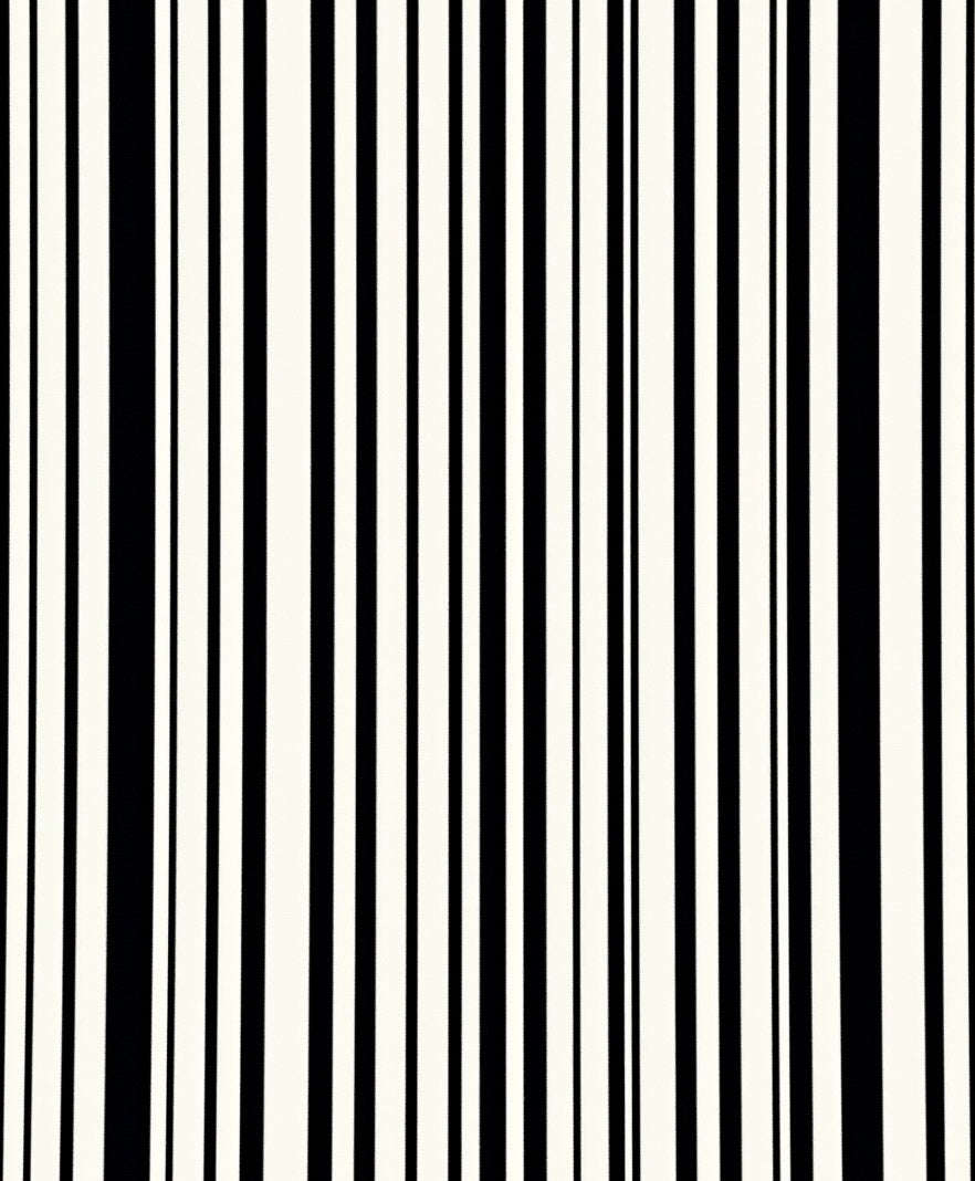 Modern Black and White Vertical Stripes Rug