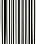 Modern Black and White Vertical Stripes Rug