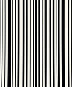 Modern Black and White Vertical Stripes Rug