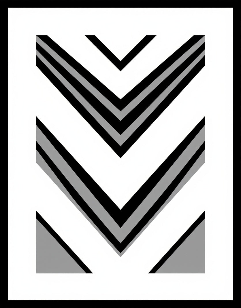 Modern Black White Gray Chevron Rug