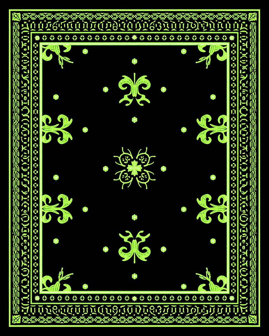 Neon Black Ornate Floral Border Rug