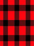 Vivid Red Black Buffalo Check Rug