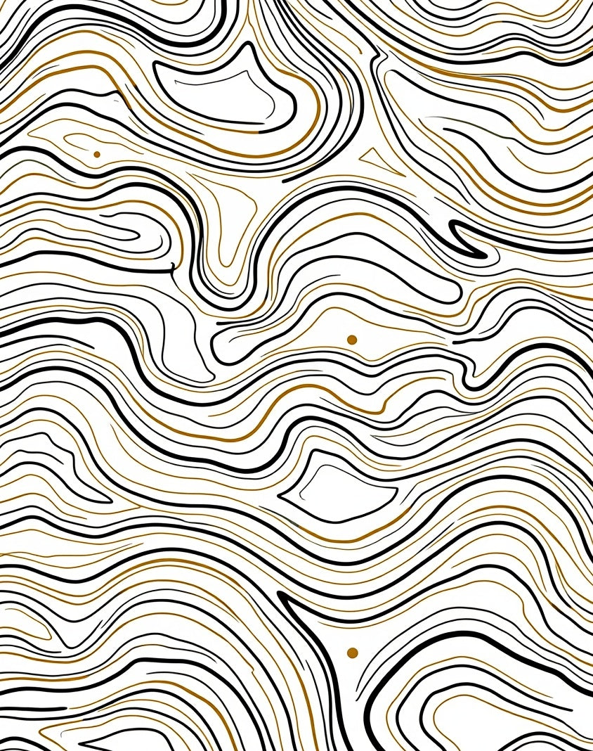 Abstract Black Gold Contour Flow Rug