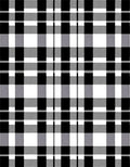 Classic Black White Plaid Lines Rug