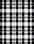 Classic Black White Plaid Lines Rug