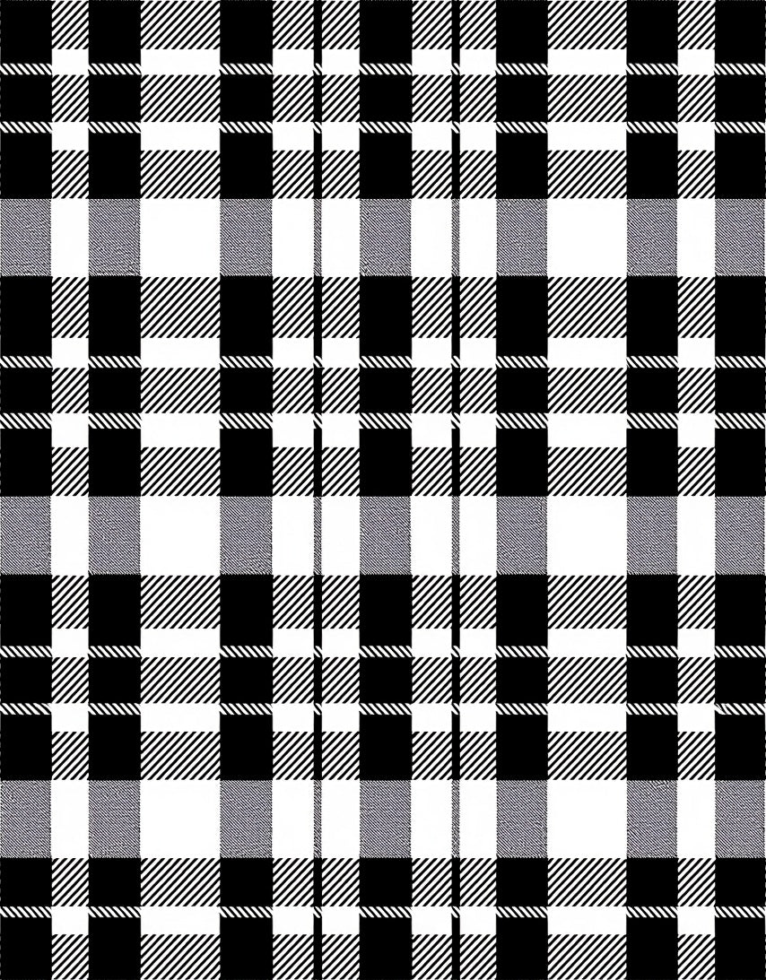 Classic Black White Plaid Lines Rug