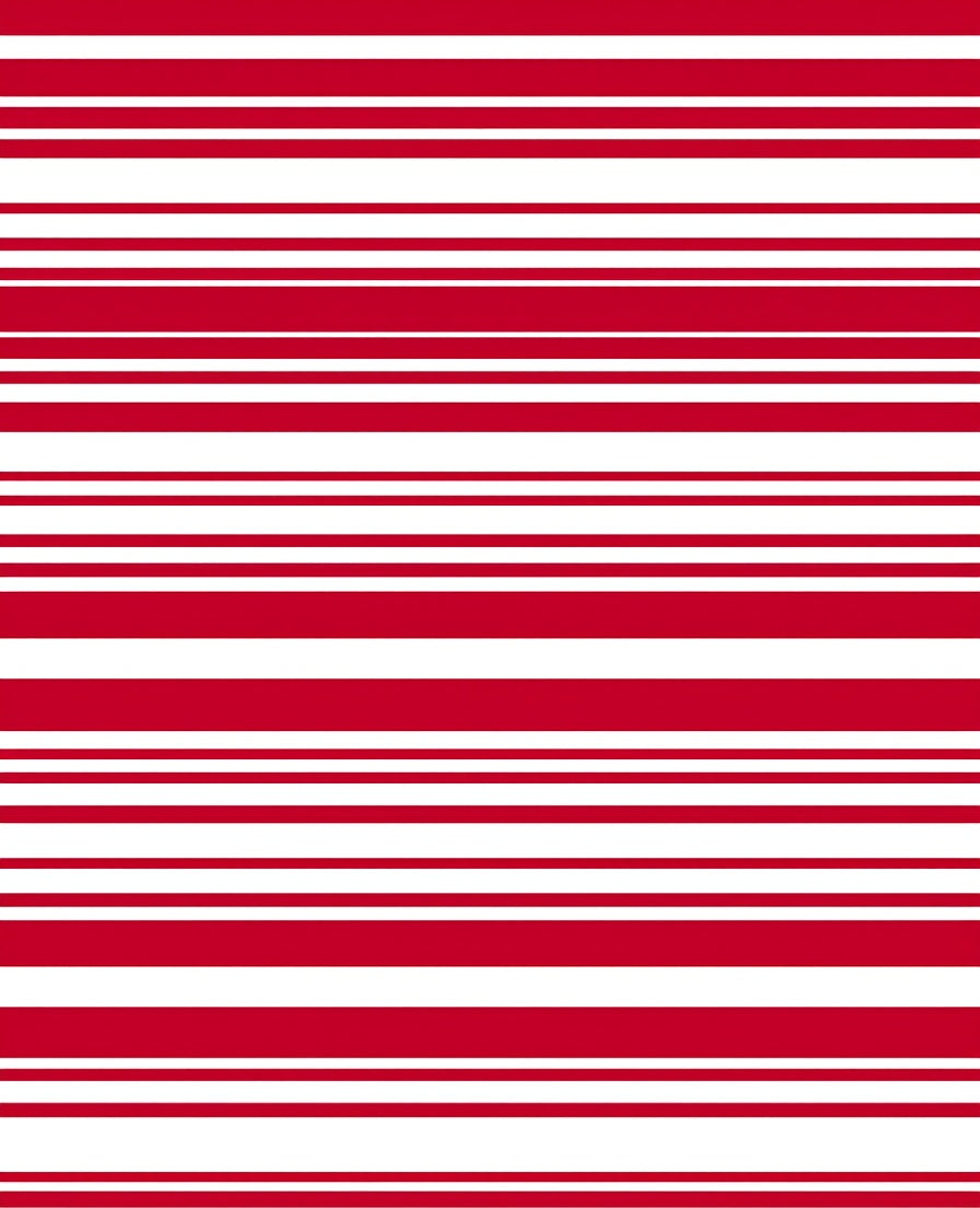 Bold Red White Horizontal Stripe Rug