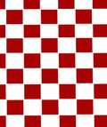 Bold Red White Checkered Squares Rug