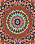 Bold Coral Teal Feathered Mandala Rug