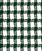 Forest Green White Lattice Vine Rug