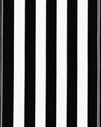 Bold Black White Stripe Rug