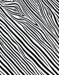 Bold Black and White Zebra Stripes Rug