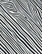 Bold Black and White Zebra Stripes Rug