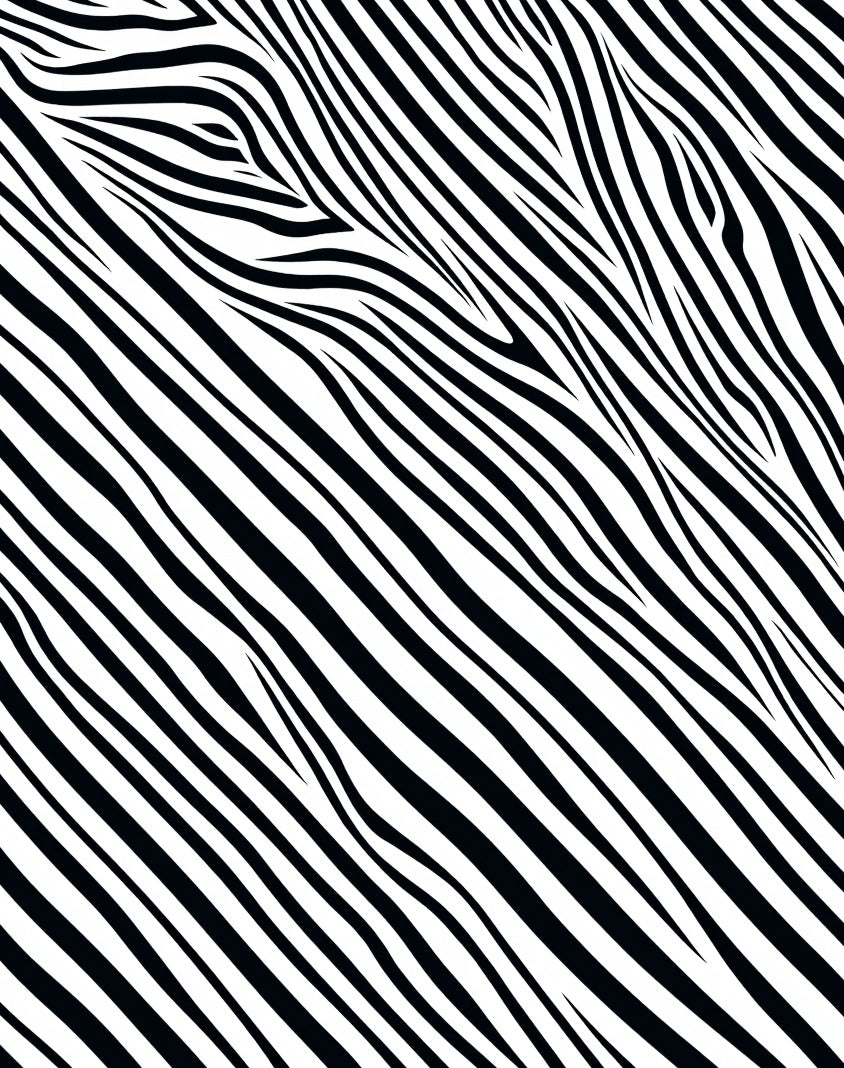 Bold Black and White Zebra Stripes Rug