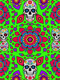 Vibrant Skull Floral Mandala Rug