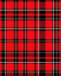 Classic Red Black Plaid Weave Rug