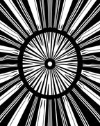 Radial Sunburst Black White Concentric Rug